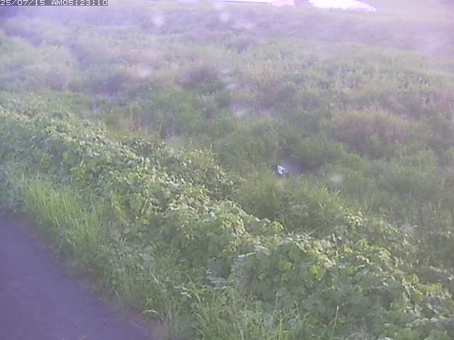 取得できませんでした