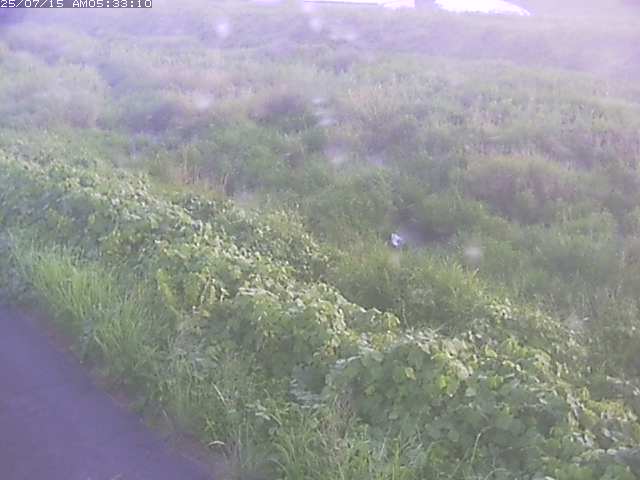 取得できませんでした