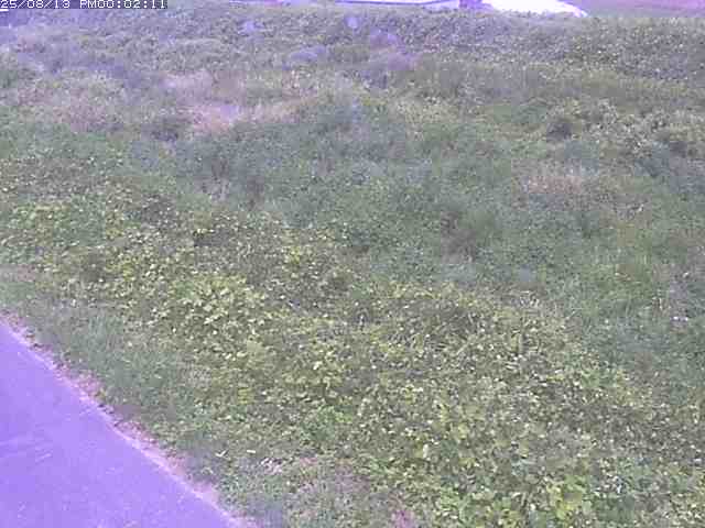 取得できませんでした