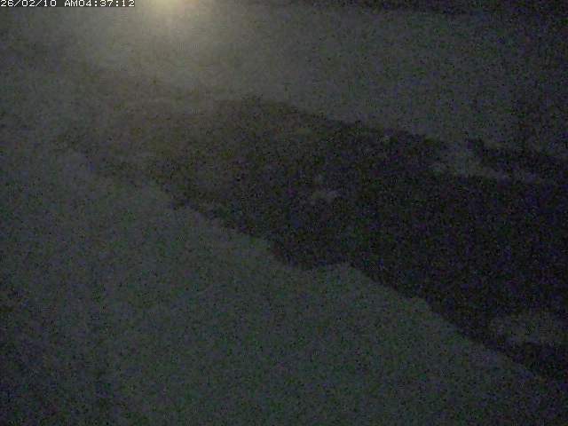 取得できませんでした