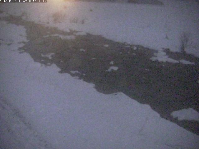 取得できませんでした