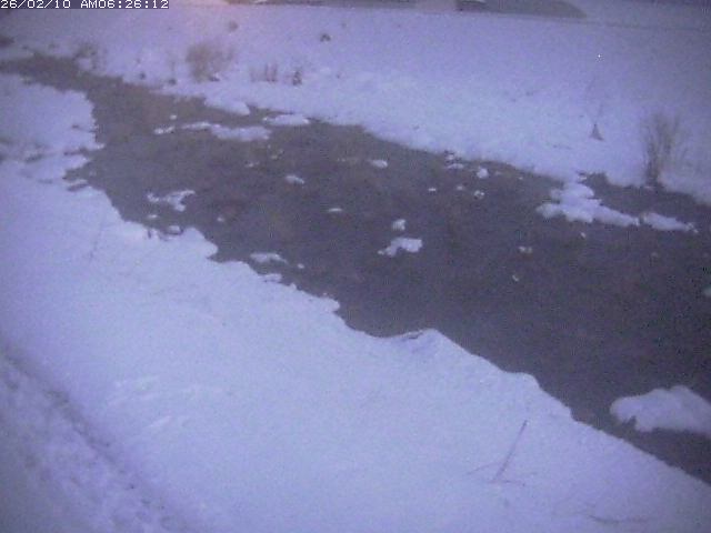 取得できませんでした