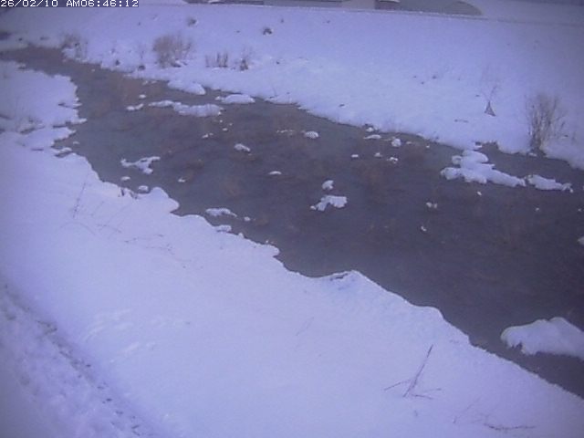 取得できませんでした