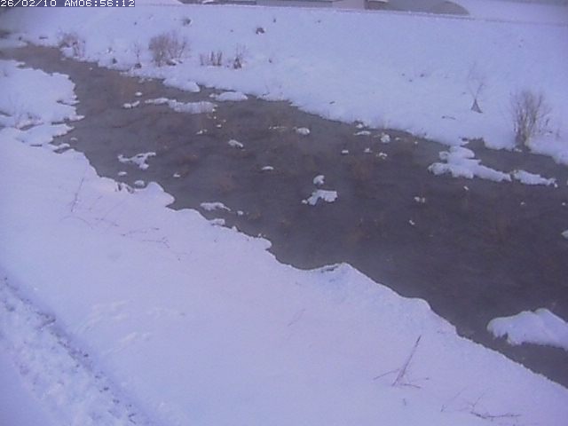 取得できませんでした