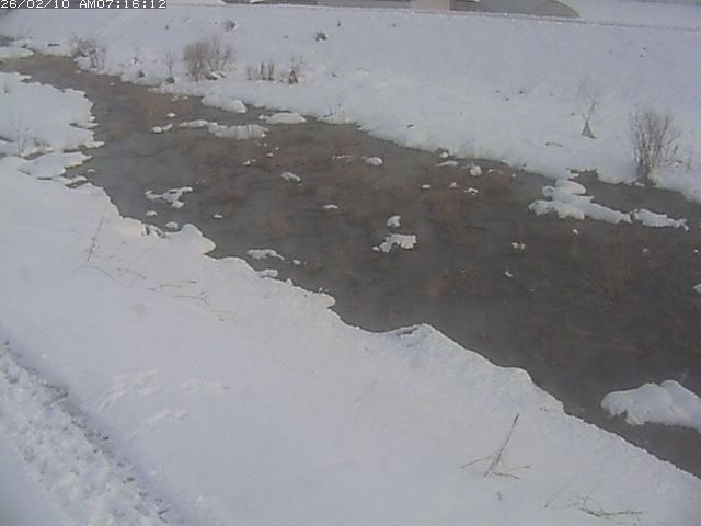 取得できませんでした