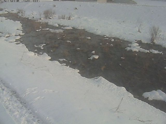 取得できませんでした