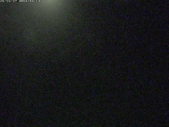 取得できませんでした