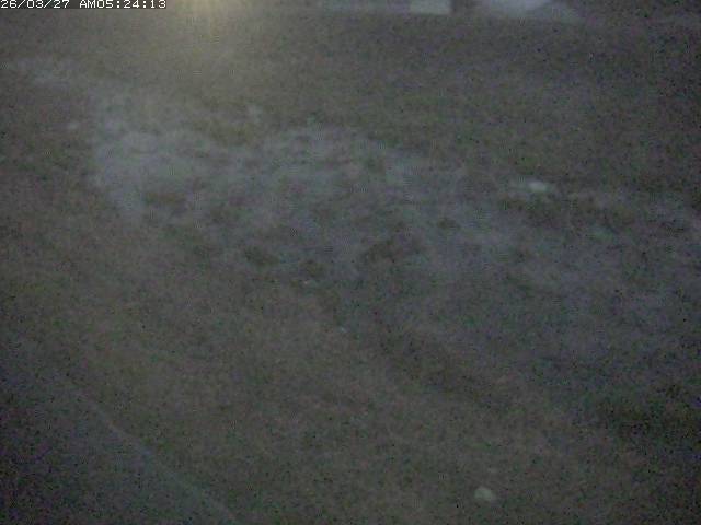 取得できませんでした