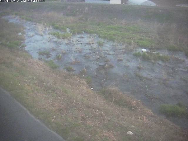 取得できませんでした