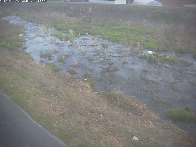 取得できませんでした