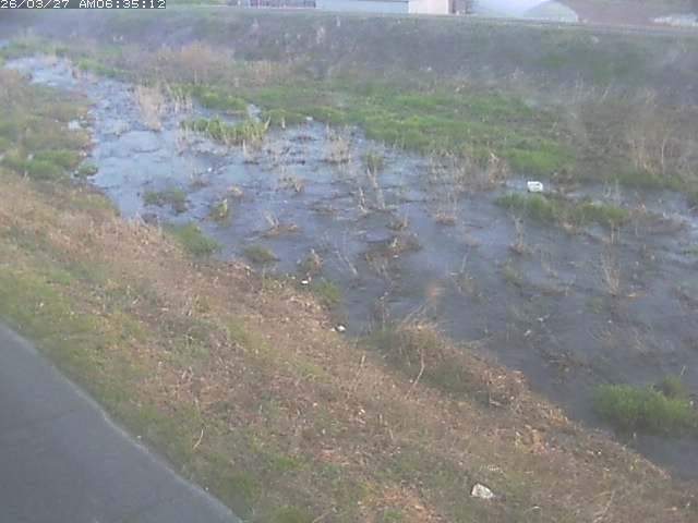 取得できませんでした