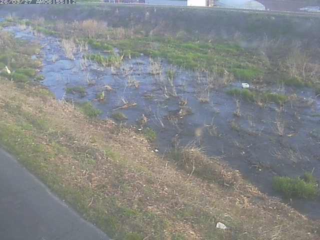 取得できませんでした