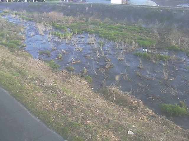 取得できませんでした