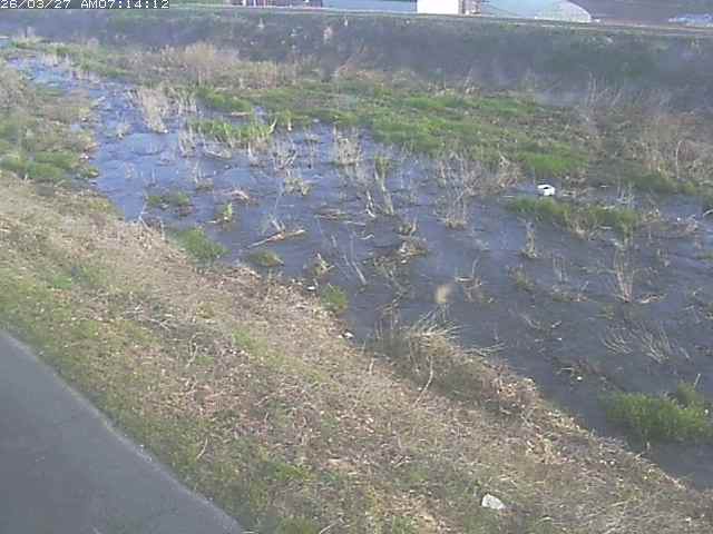 取得できませんでした