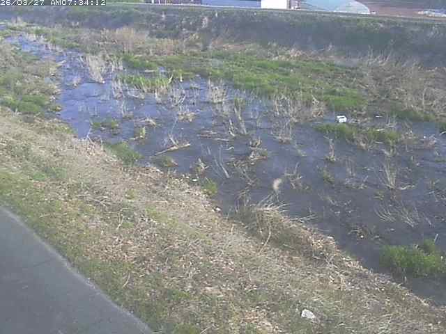 取得できませんでした