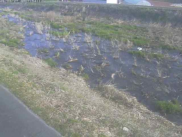 取得できませんでした