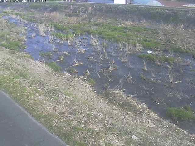 取得できませんでした