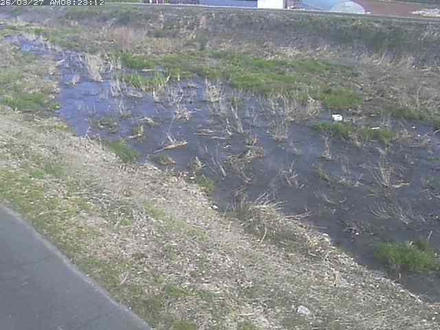 取得できませんでした