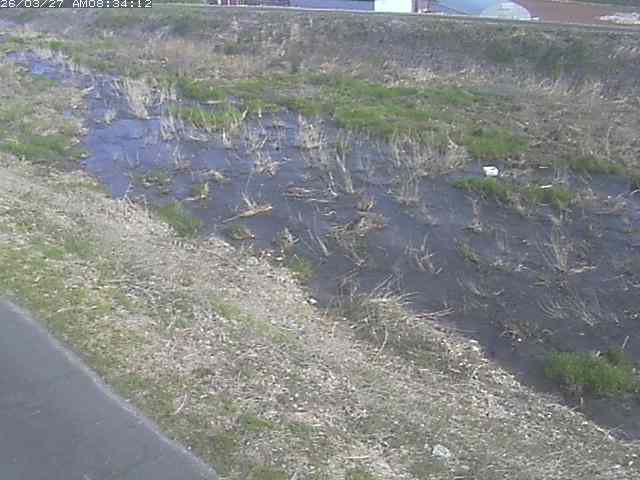 取得できませんでした