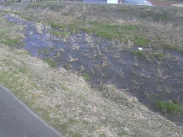 取得できませんでした