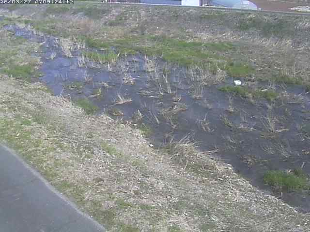 取得できませんでした