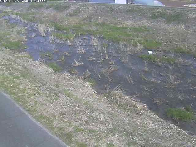 取得できませんでした