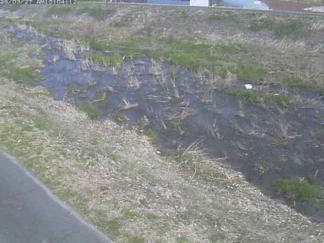 取得できませんでした