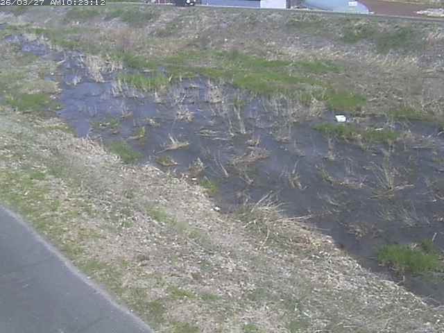 取得できませんでした