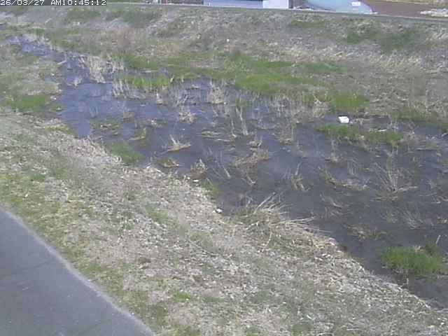 取得できませんでした