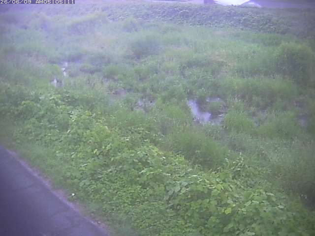 取得できませんでした