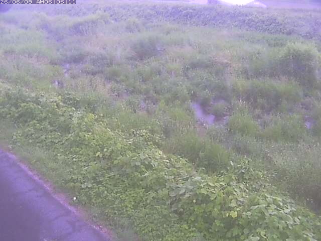 取得できませんでした