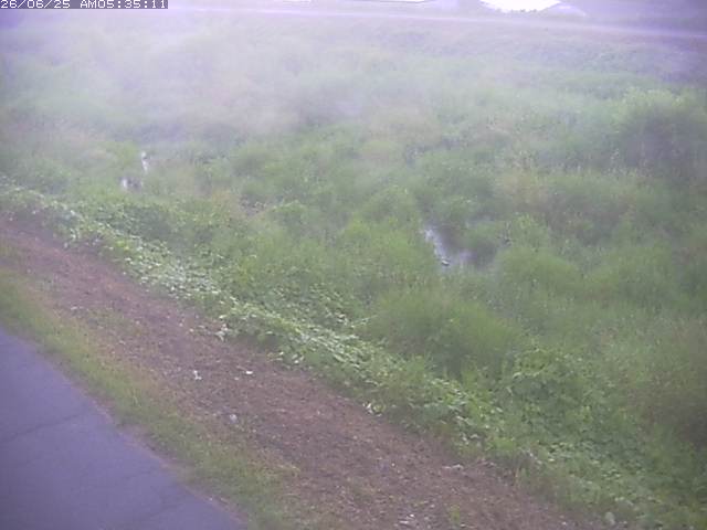 取得できませんでした