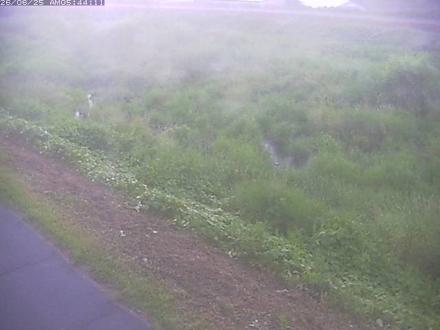 取得できませんでした