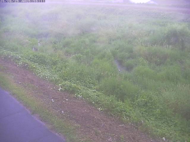 取得できませんでした
