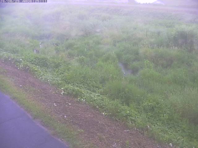 取得できませんでした