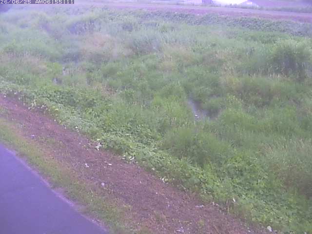 取得できませんでした