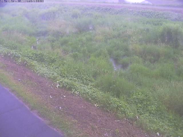 取得できませんでした