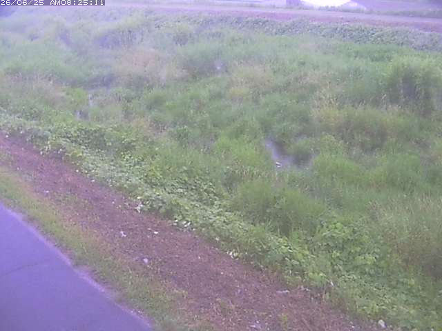 取得できませんでした