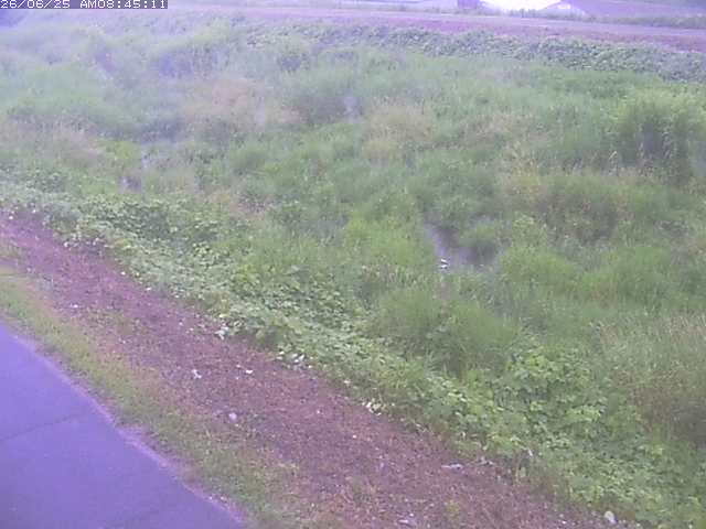 取得できませんでした