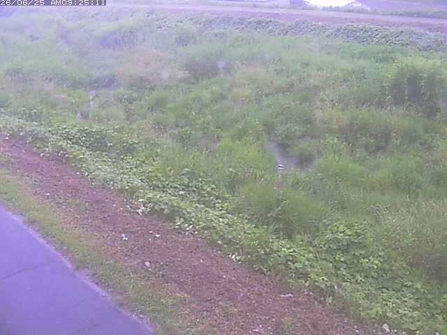 取得できませんでした