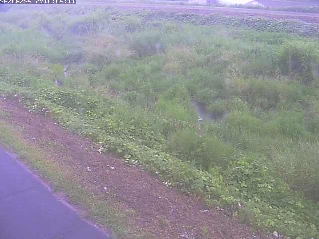 取得できませんでした