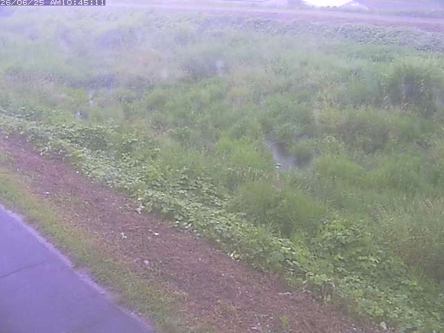 取得できませんでした