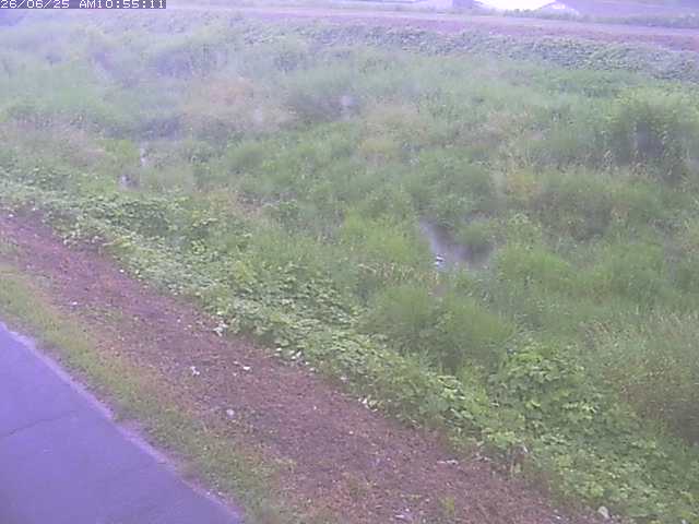 取得できませんでした
