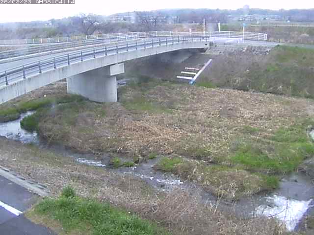 取得できませんでした