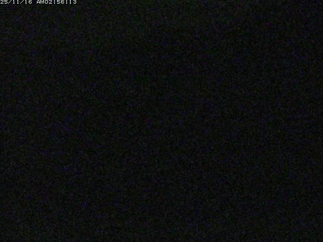 取得できませんでした