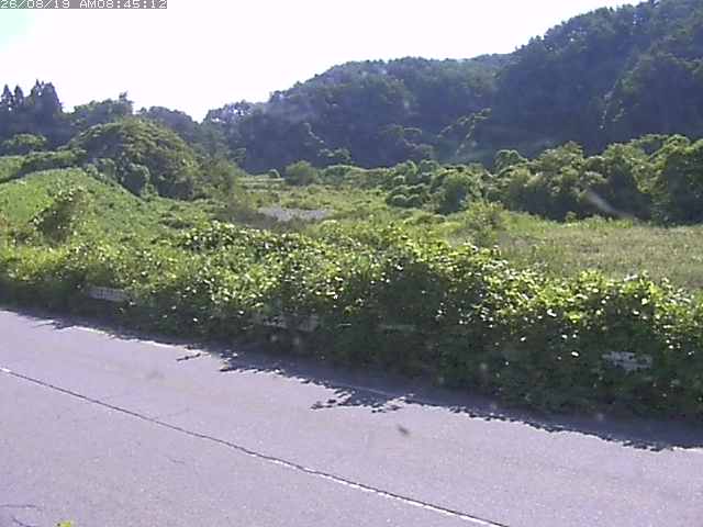 取得できませんでした
