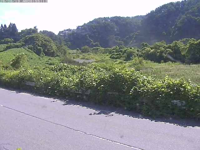 取得できませんでした