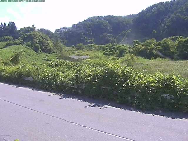 取得できませんでした