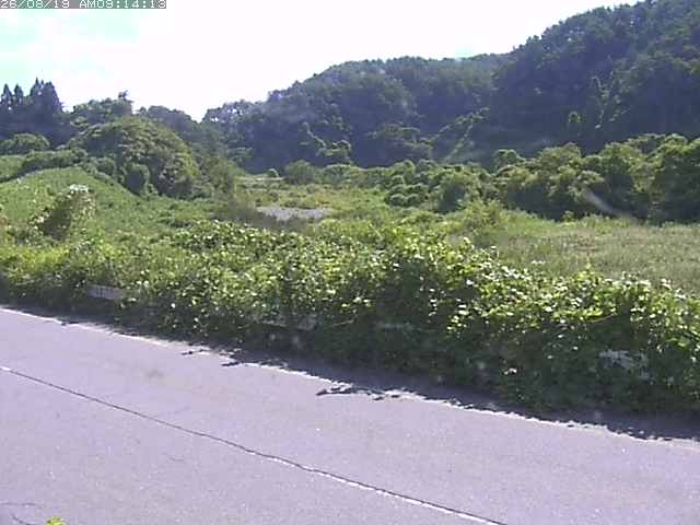 取得できませんでした