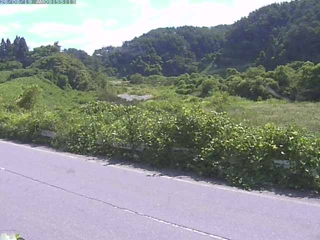 取得できませんでした